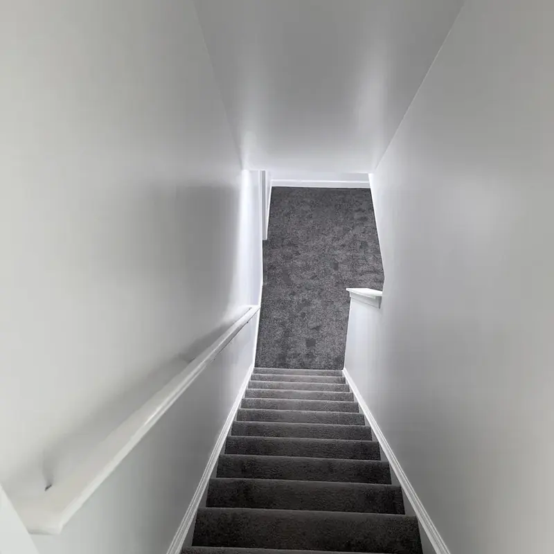 basements project photo